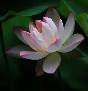 m霞P&憙圀?覇茝?DB?蟌;躜4p4菋TV?jpJ`U?箃毺?L疡昻#瘗的简单介绍